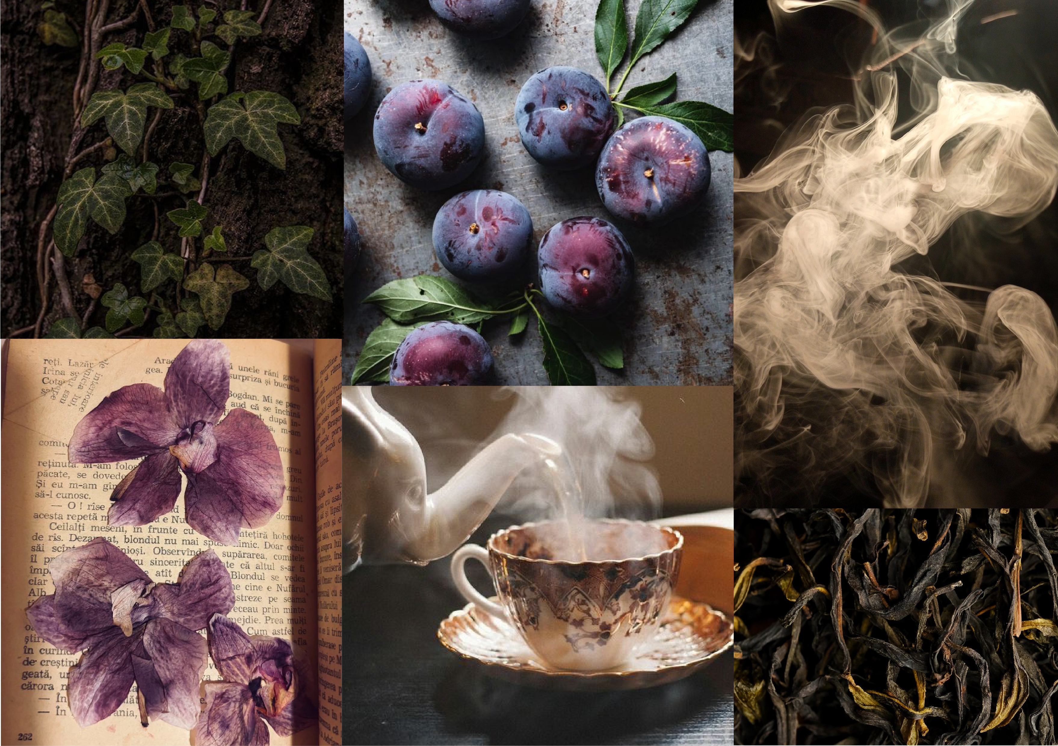 Quiet Library perfume bottle among books